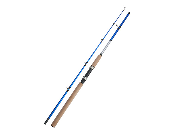 2 Piece Spinning Fishing Rod