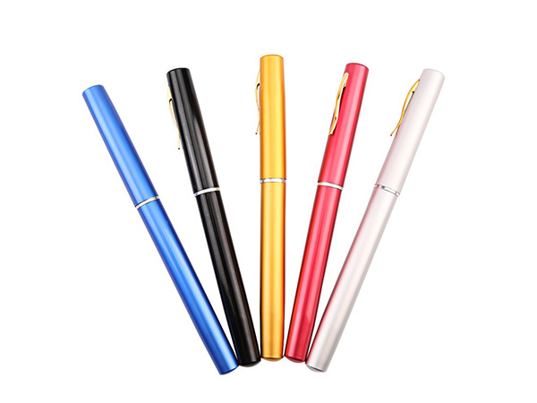 Pen Fishing Rod
